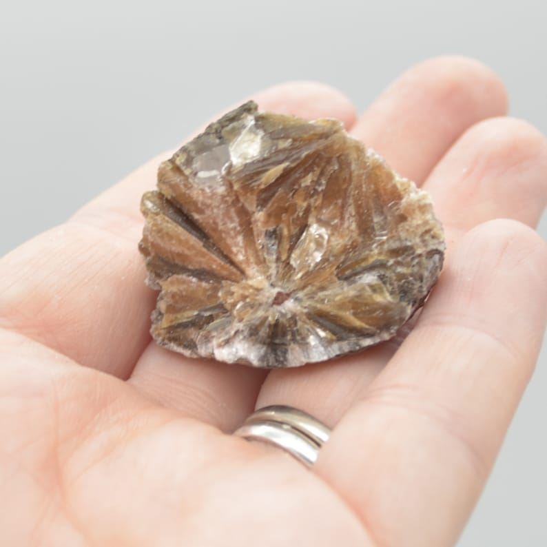 Raw Daisy Bed Gypsum Specimen Rock - 85 grams - Image 6
