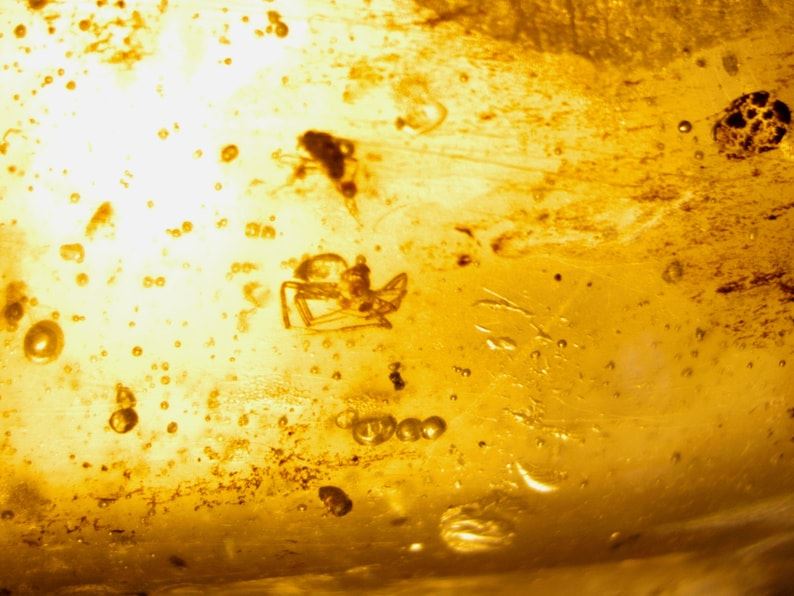 Raw Copal Amber Specimen Rock - 12.5 grams - Image 8