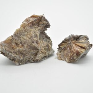 Raw Daisy Bed Gypsum Specimen Rock -  85 grams