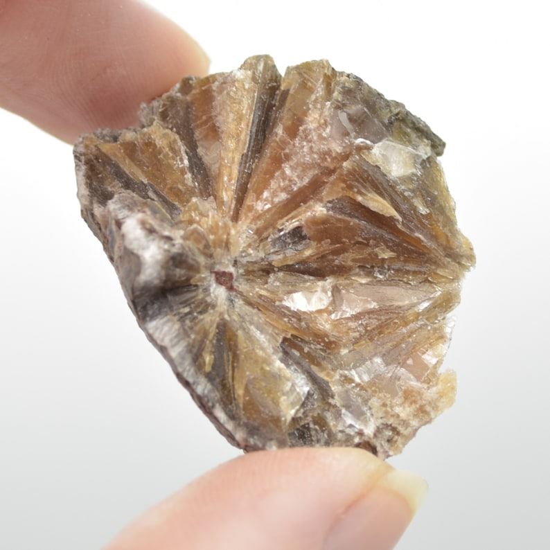 Raw Daisy Bed Gypsum Specimen Rock - 85 grams - Image 4