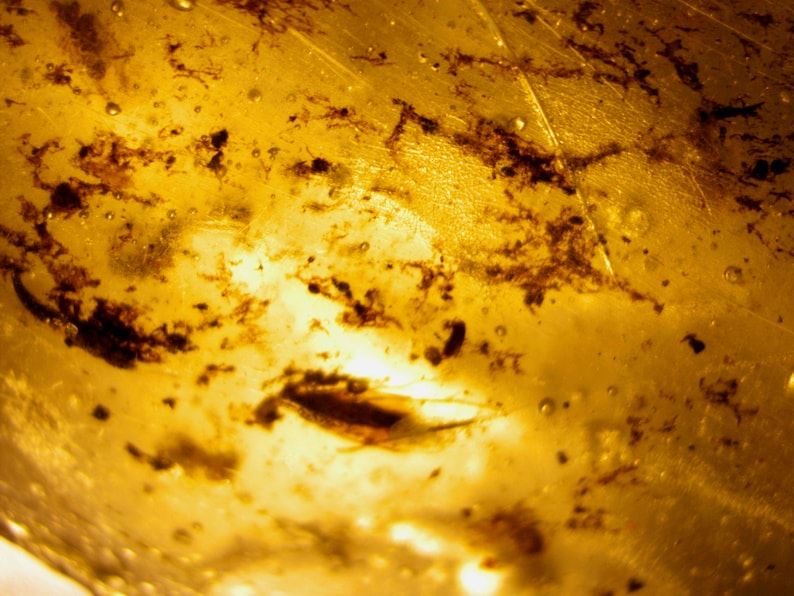 Raw Copal Amber Specimen Rock - 12.5 grams - Image 9