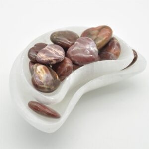 Petrified Wood Jasper Heart - 3cm - 1 Count