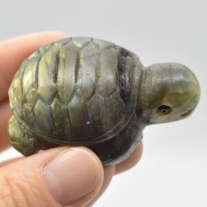 Labradorite Turtle - 5cm x 3.5cm x 2.5cm - 54 grams