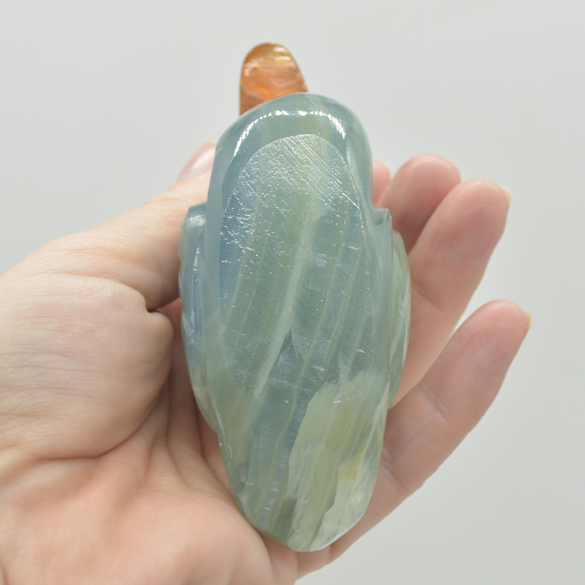Blue Onyx (Lemurian Aquatine Calcite) Crystal Carved Duck - 237 grams #02 - Image 5
