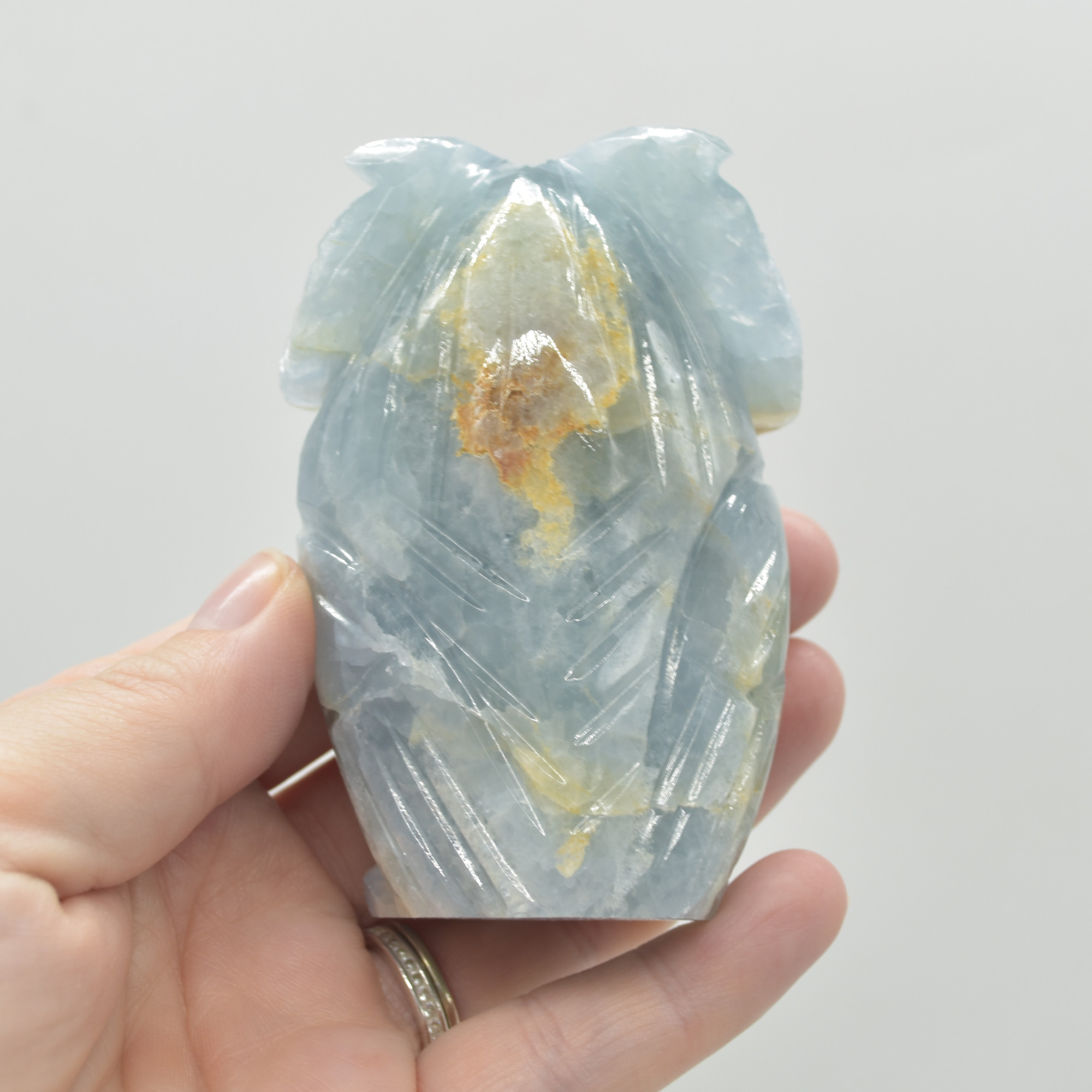 Blue Onyx (Lemurian Aquatine Calcite) Crystal Carved Owl - 234 grams #05 - Image 4