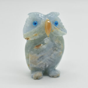 Blue Onyx (Lemurian Aquatine Calcite) Crystal Carved Owl - 234 grams #05
