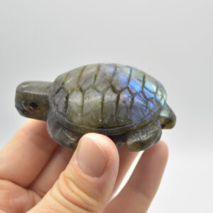 Labradorite Turtle - 6.5cm x 4cm x 2.5cm - 81 grams
