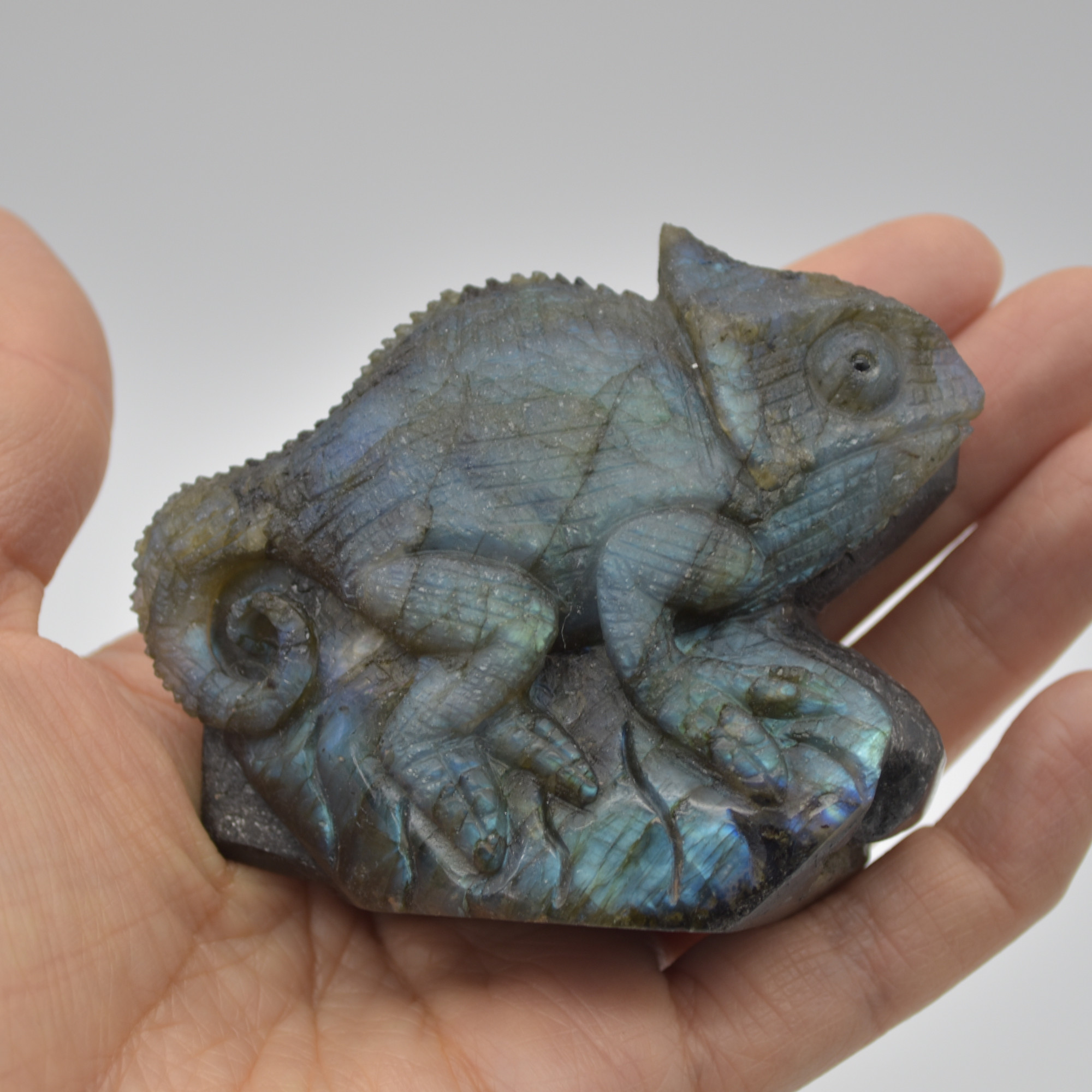 Labradorite Lizard Chameleon - One sided - 8cm x 6cm x 3cm - 196 grams #03