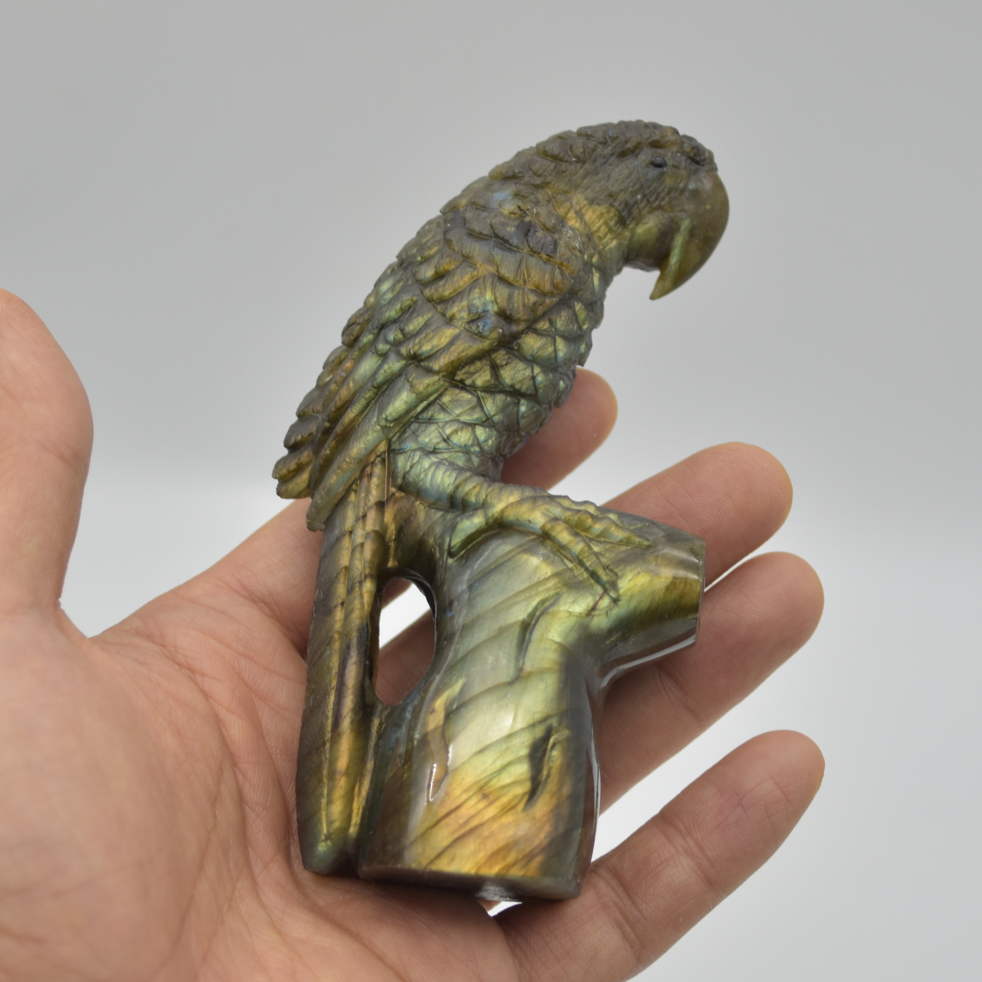 Labradorite Crystal Parrot on Branch - 11.5cm x 6.5cm x 3.5cm - 232 grams #02
