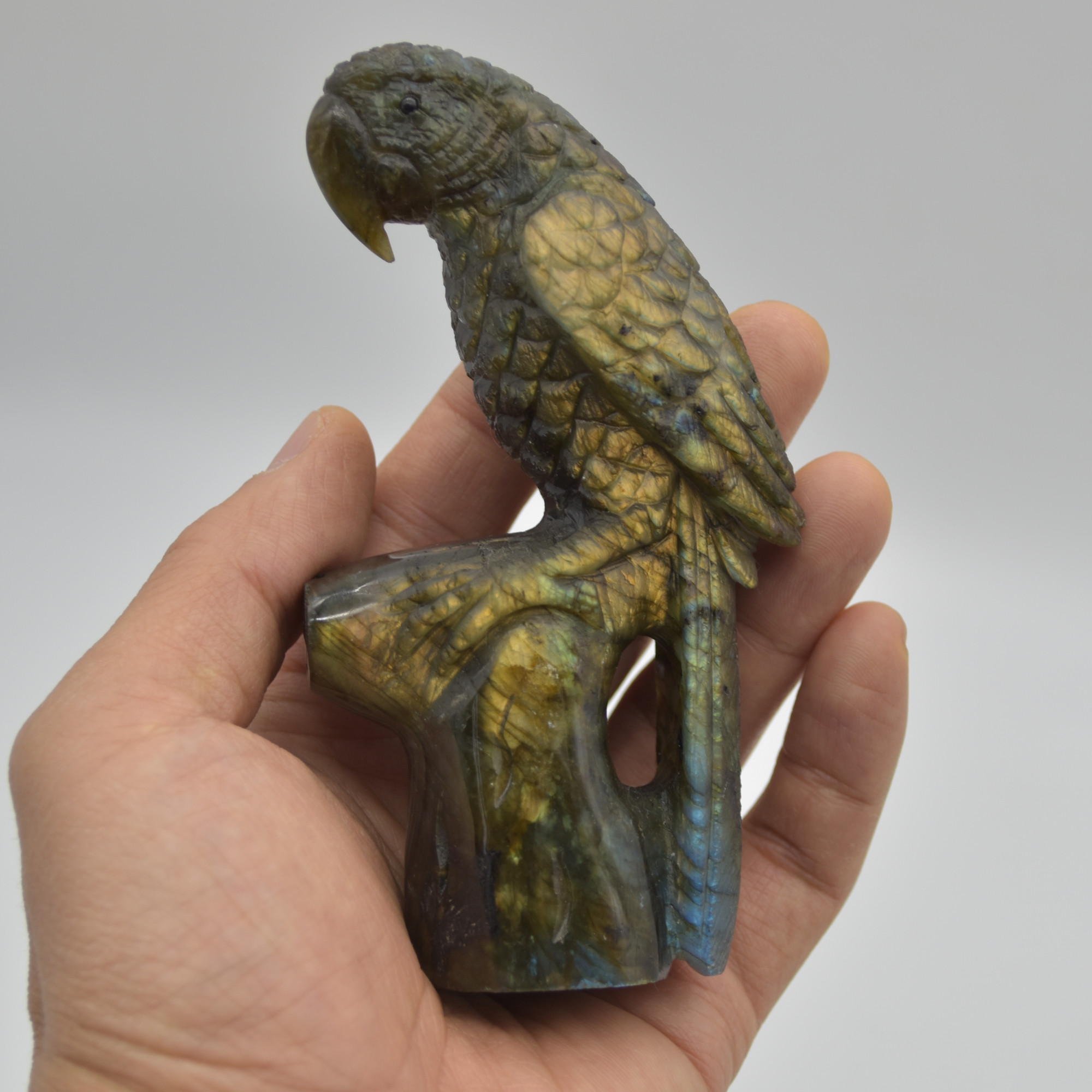 Labradorite Crystal Parrot on Branch - 11.5cm x 6.5cm x 3.5cm - 232 grams #02 - Image 2