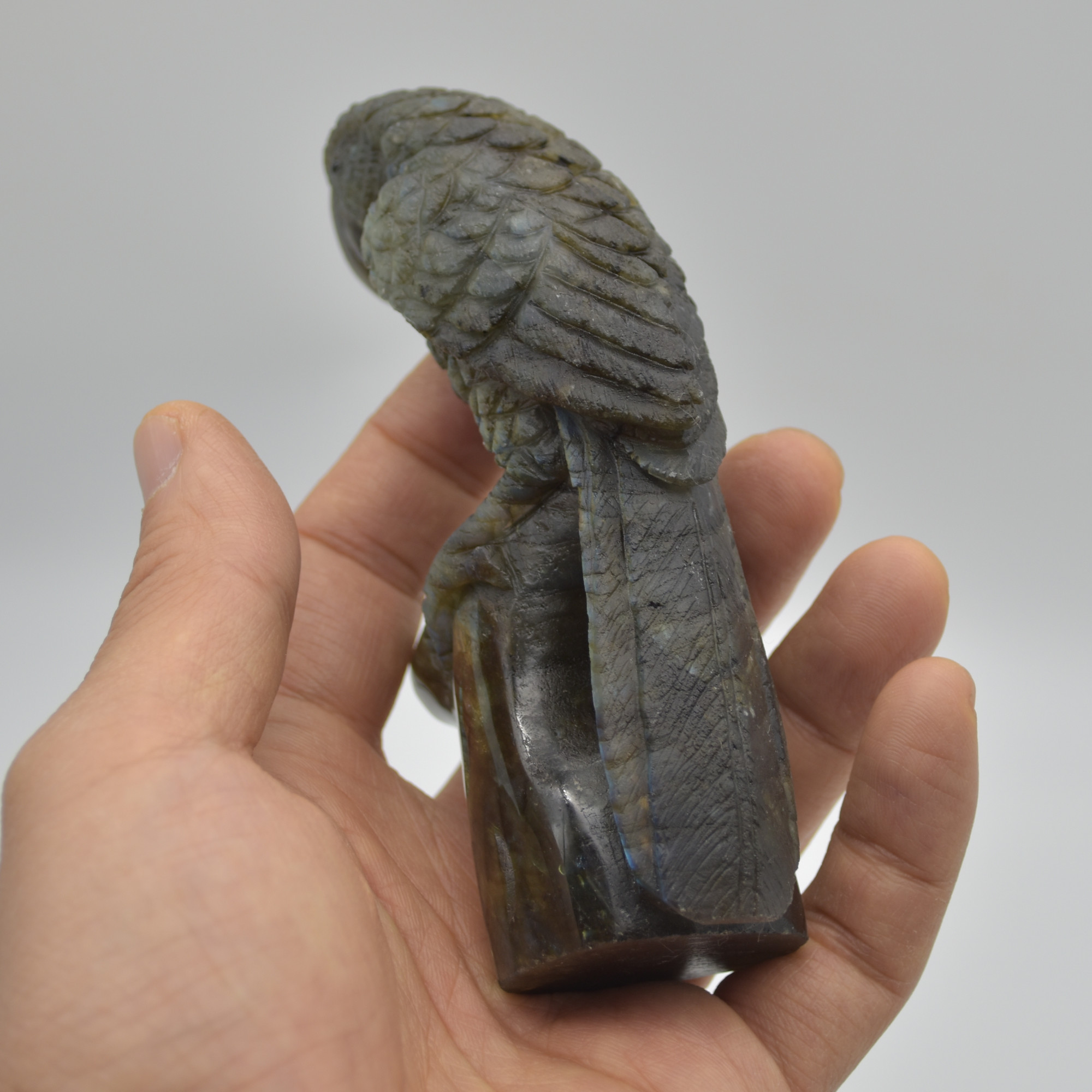 Labradorite Crystal Parrot on Branch - 11.5cm x 6.5cm x 3.5cm - 232 grams #02 - Image 4
