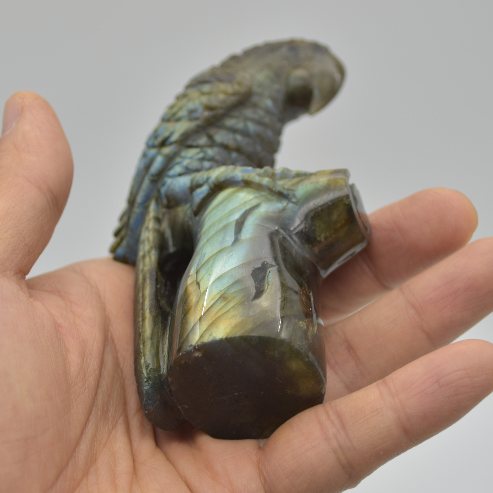 Labradorite Crystal Parrot on Branch - 11.5cm x 6.5cm x 3.5cm - 232 grams #02 - Image 5