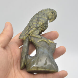 Labradorite Crystal Parrot on Branch - 11.5cm x 6cm x 3.5cm - 247 grams #03