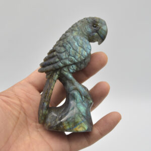 Labradorite Crystal Parrot on Branch - 10cm x 5cm x 4cm - 193 grams #04