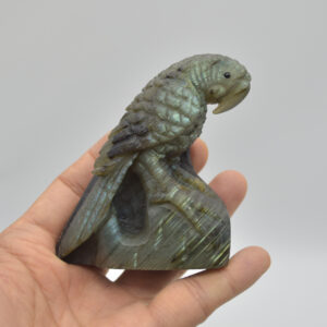 Labradorite Crystal Parrot on Branch - Part Carved - 8cm x 7cm x 3.5cm - 205 grams #05
