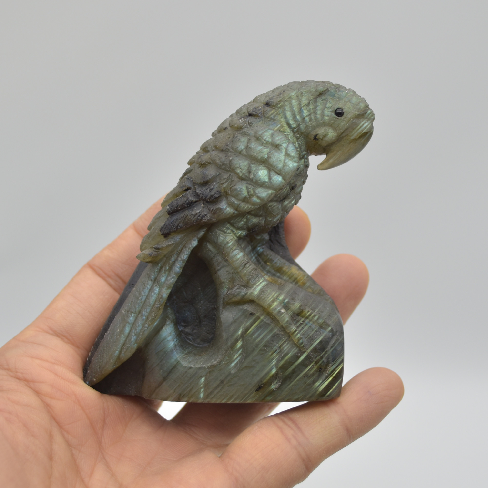 Labradorite Crystal Parrot on Branch - Part Carved - 8cm x 7cm x 3.5cm - 205 grams #05