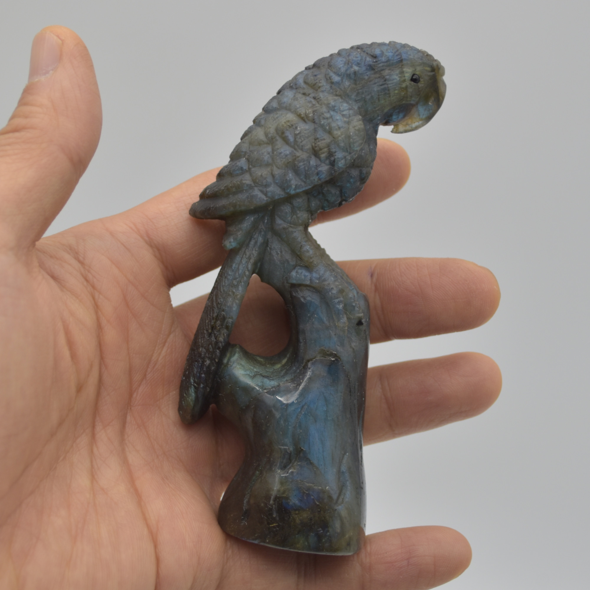 Labradorite Crystal Parrot on Branch - 10.5cm x 4cm x 3.5cm - 144 grams #01