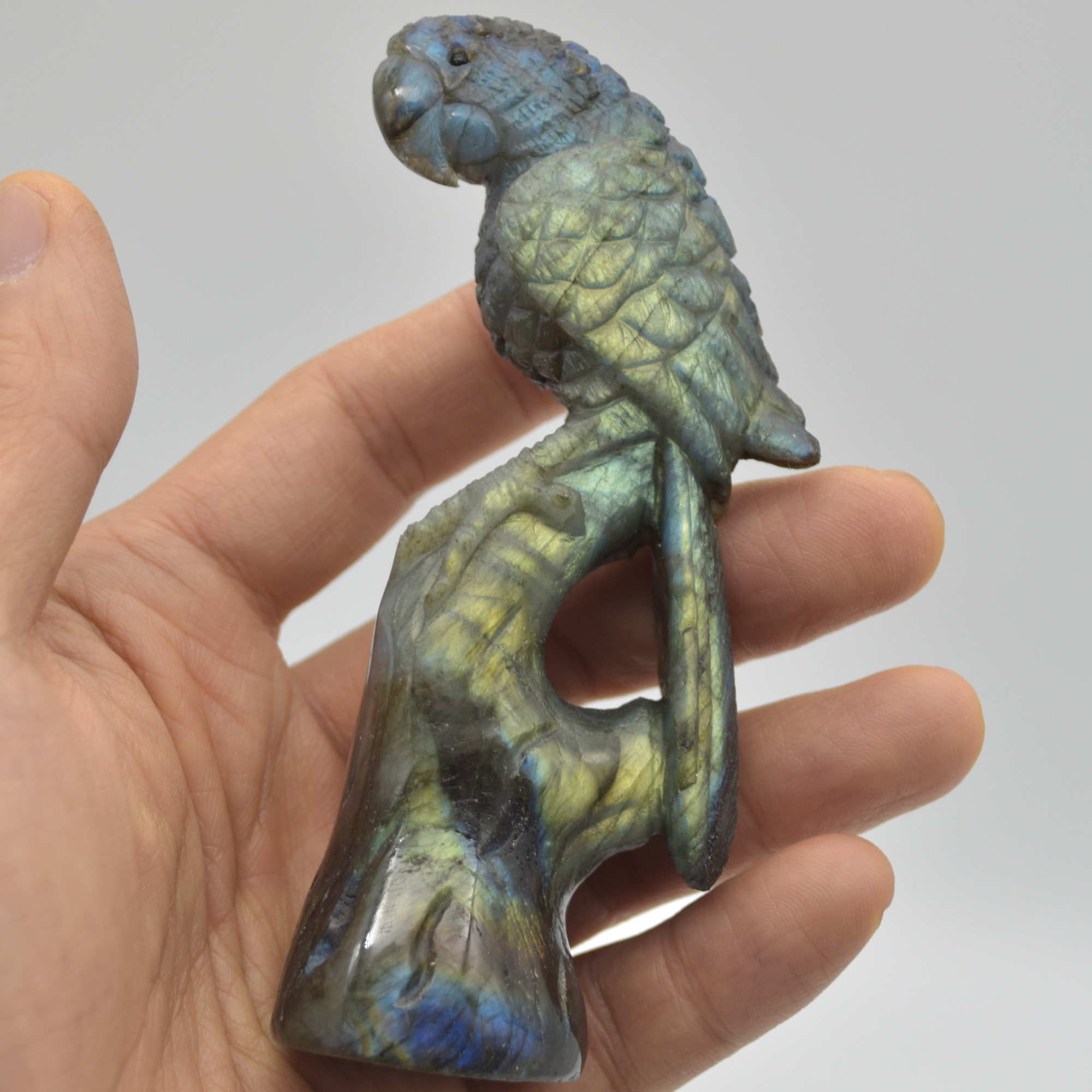 Labradorite Crystal Parrot on Branch - 10.5cm x 4cm x 3.5cm - 144 grams #01 - Image 3