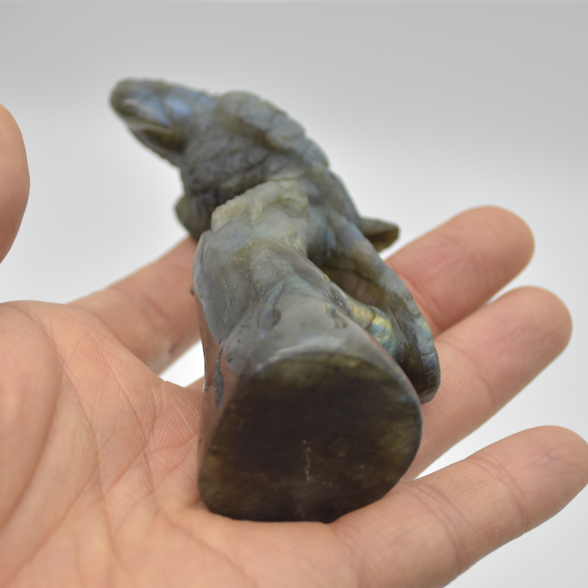 Labradorite Crystal Parrot on Branch - 10.5cm x 4cm x 3.5cm - 144 grams #01 - Image 4