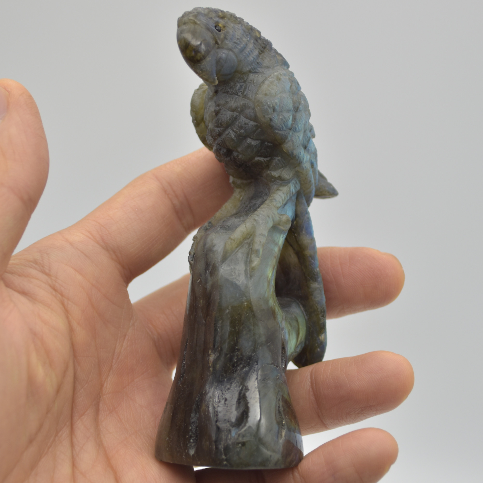 Labradorite Crystal Parrot on Branch - 10.5cm x 4cm x 3.5cm - 144 grams #01 - Image 5
