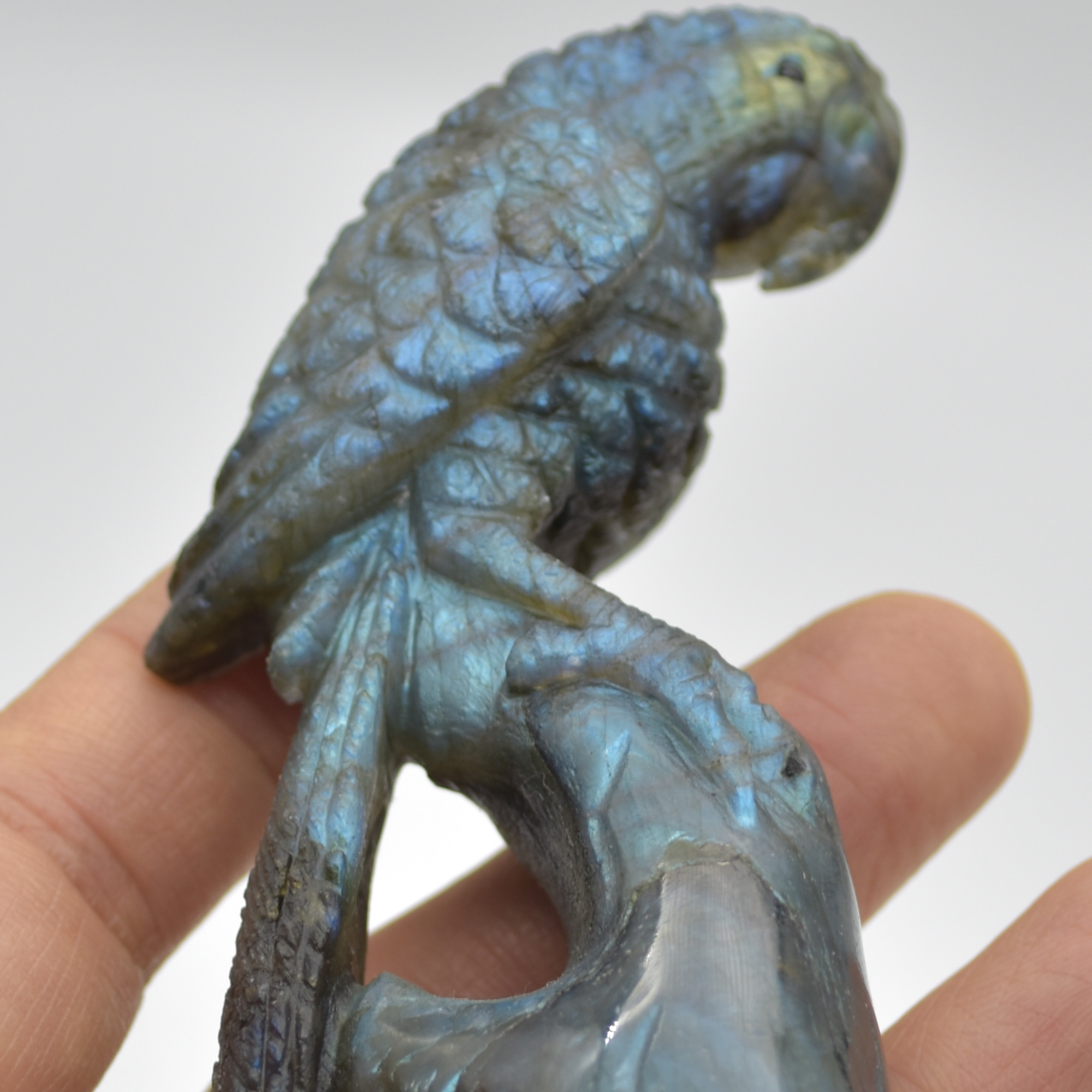 Labradorite Crystal Parrot on Branch - 10.5cm x 4cm x 3.5cm - 144 grams #01 - Image 6