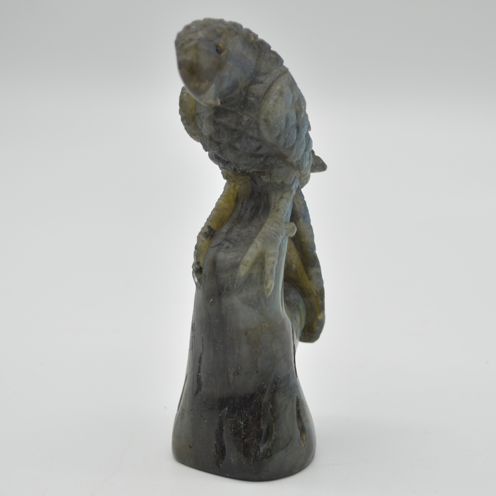 Labradorite Crystal Parrot on Branch - 10.5cm x 4cm x 3.5cm - 144 grams #01 - Image 2