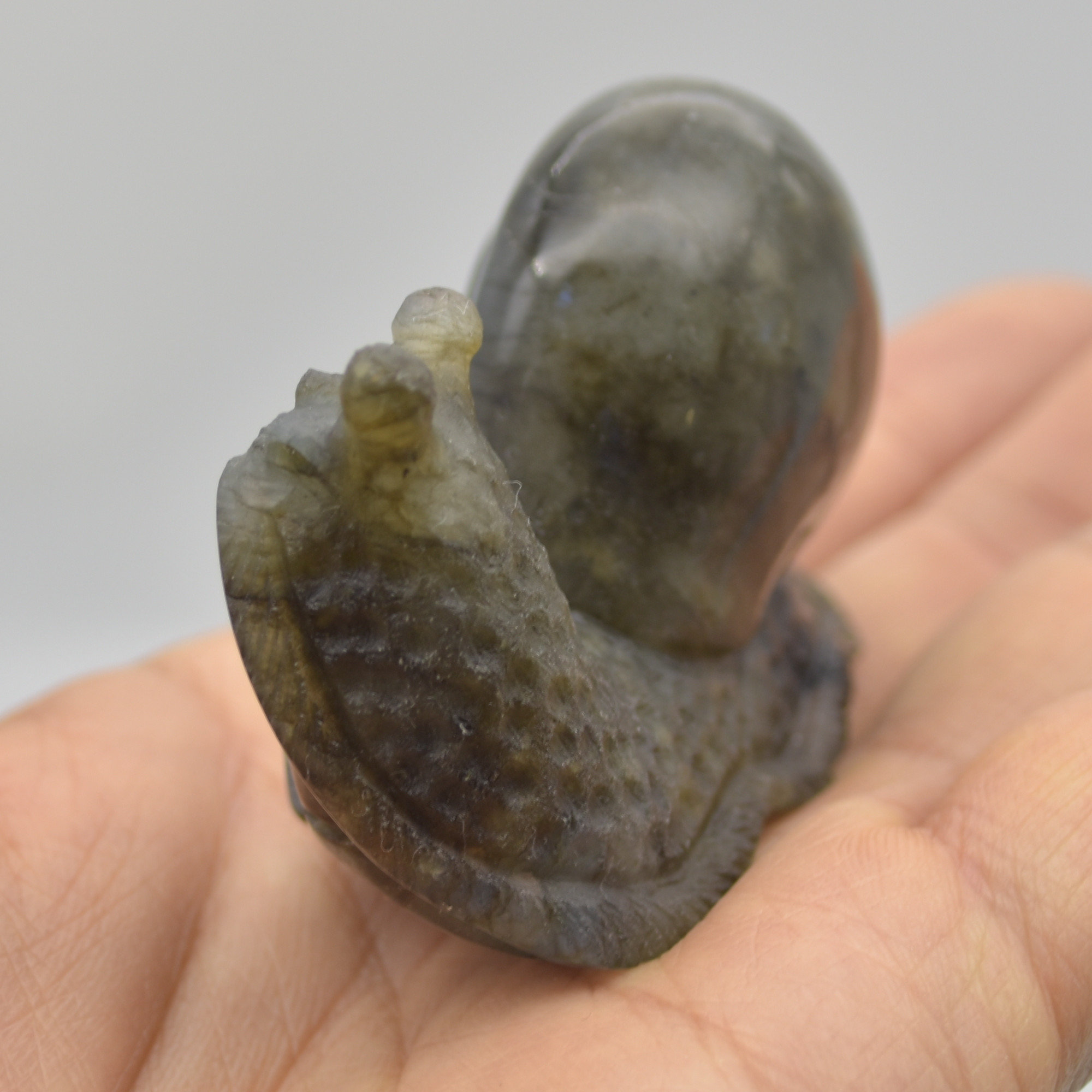 Labradorite Crystal Snail - 4.5cm x 7.5cm x 2.5cm - 93 grams #01 - Image 5