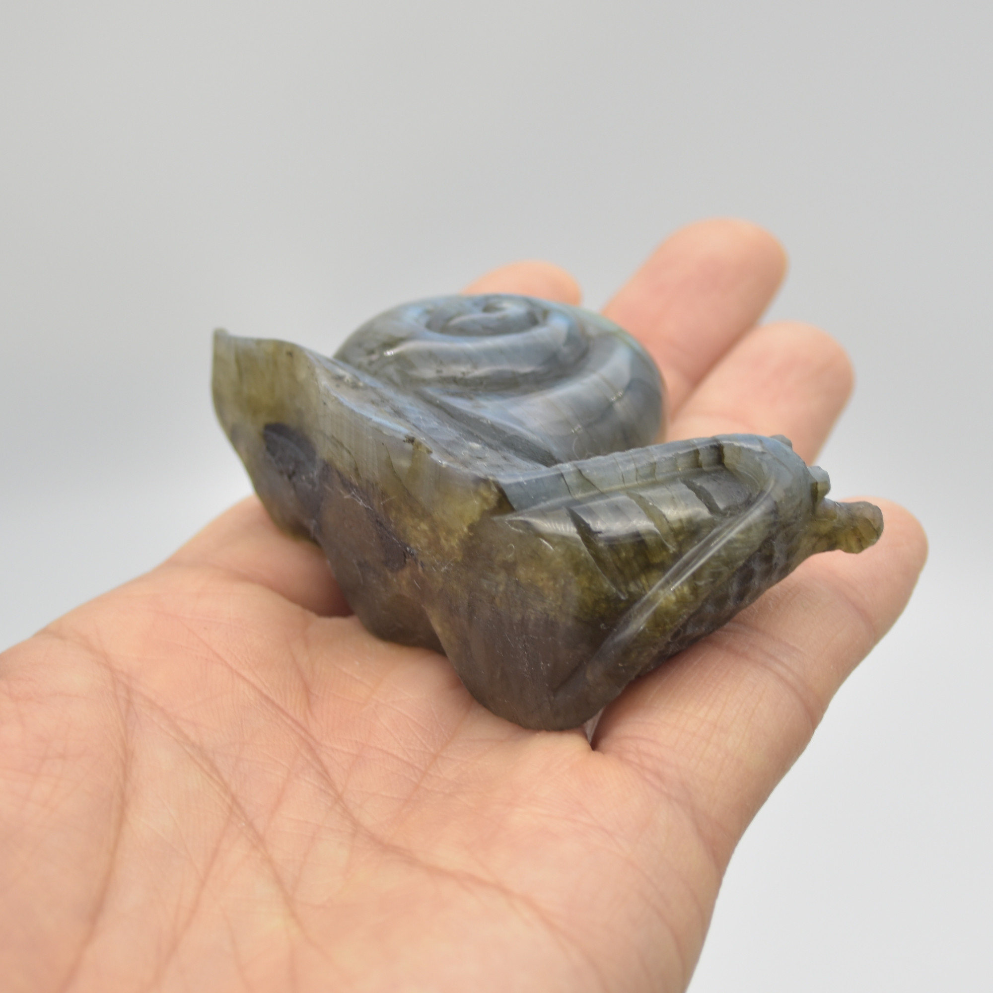 Labradorite Crystal Snail - 4.5cm x 7.5cm x 2.5cm - 93 grams #01 - Image 4