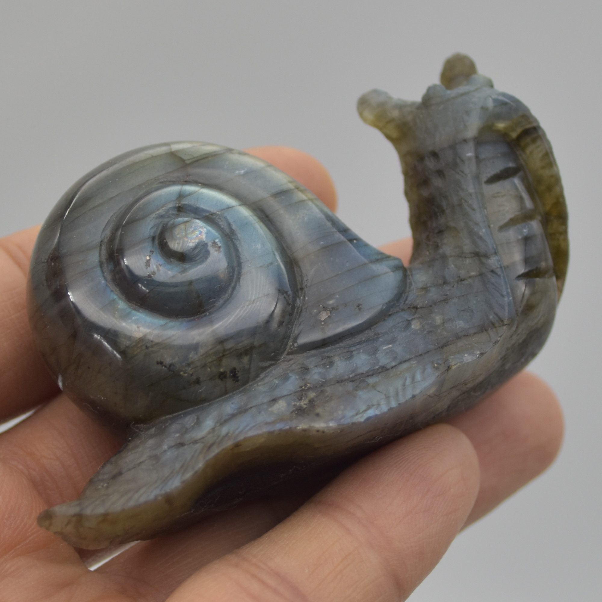 Labradorite Crystal Snail - 4.5cm x 7.5cm x 2.5cm - 93 grams #01 - Image 7
