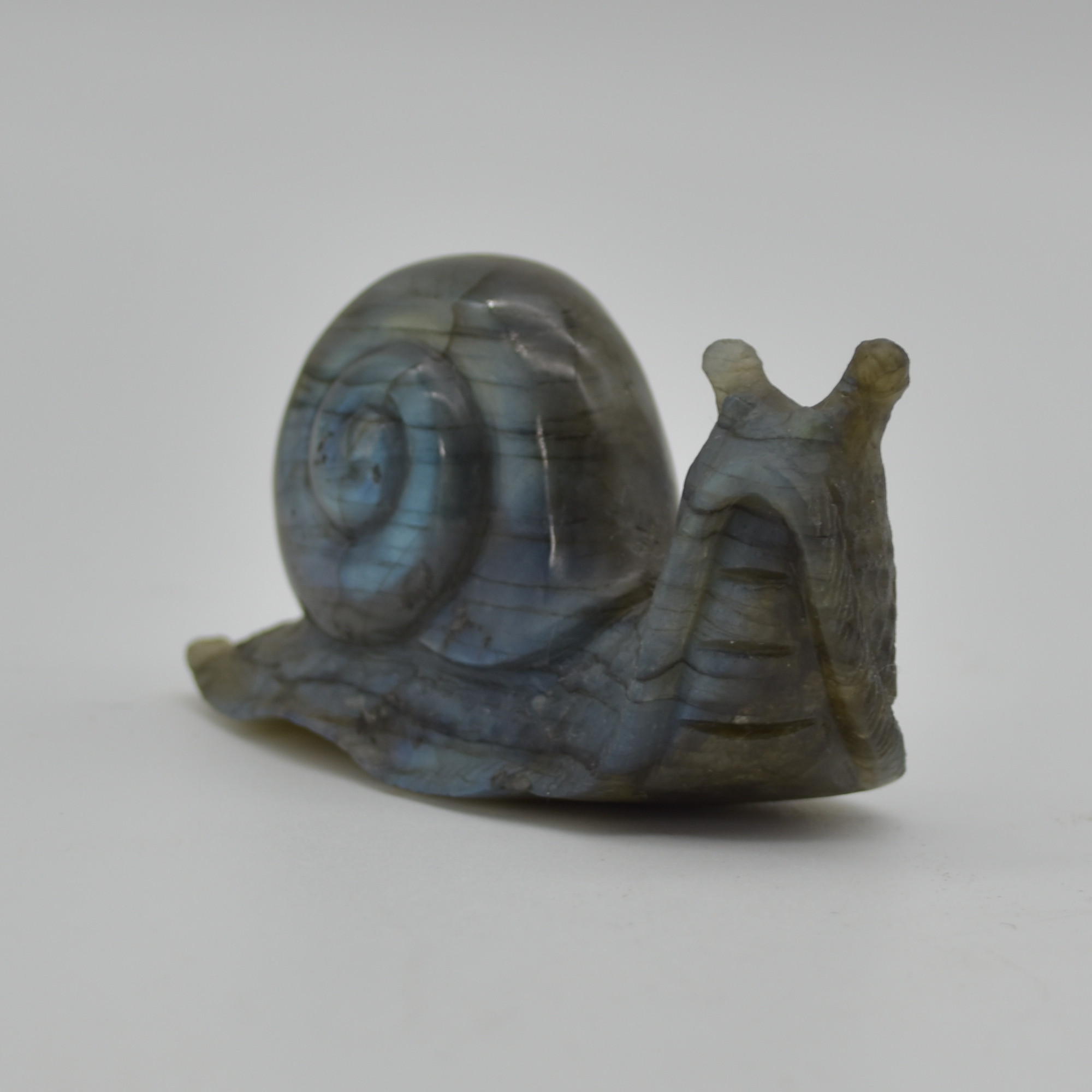 Labradorite Crystal Snail - 4.5cm x 7.5cm x 2.5cm - 93 grams #01 - Image 3