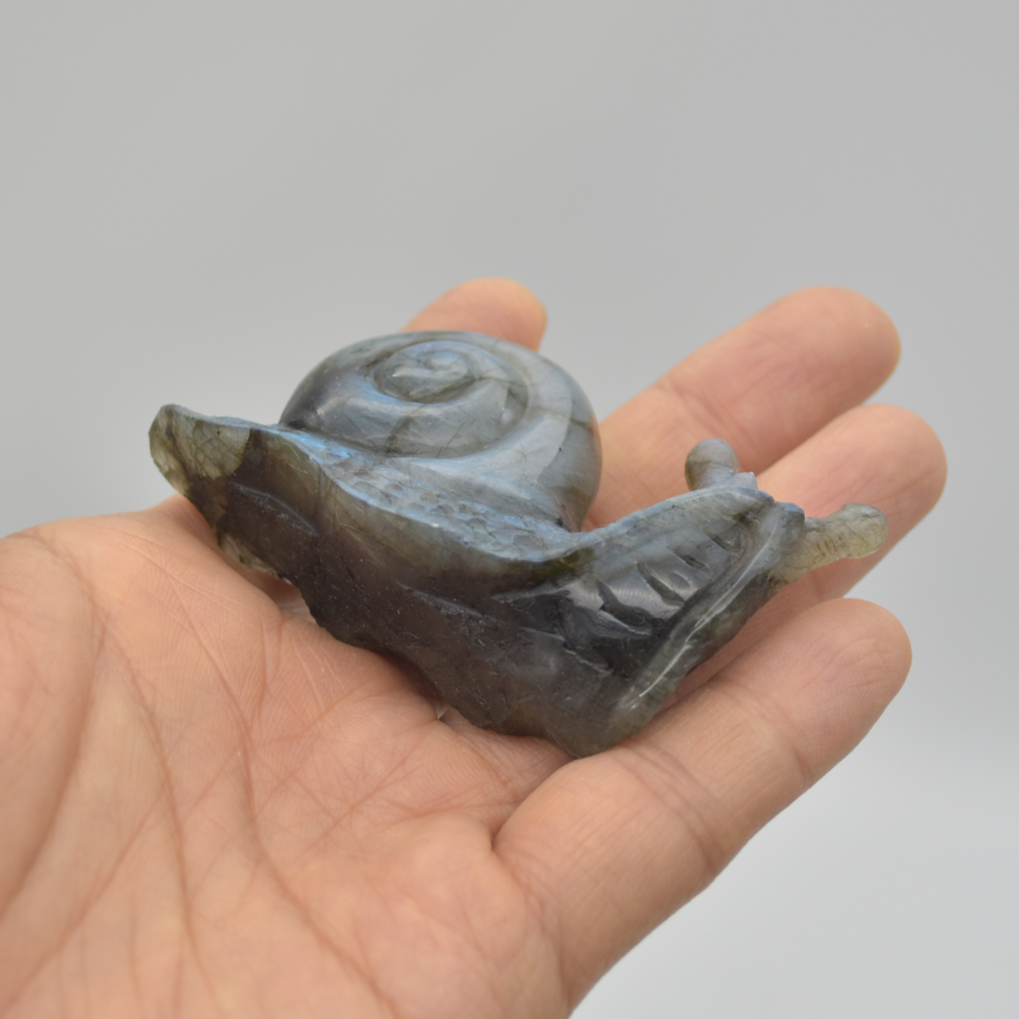 Labradorite Crystal Snail - 4cm x 7cm x 2cm - 71 grams #03 - Image 2