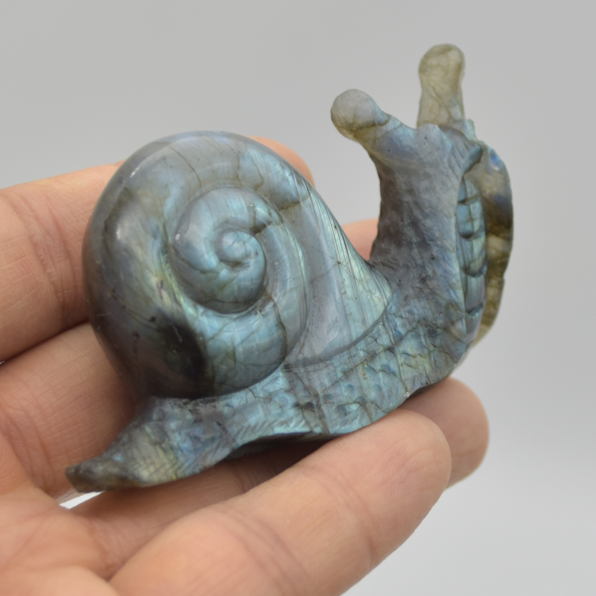Labradorite Crystal Snail - 4cm x 7cm x 2cm - 71 grams #03 - Image 5
