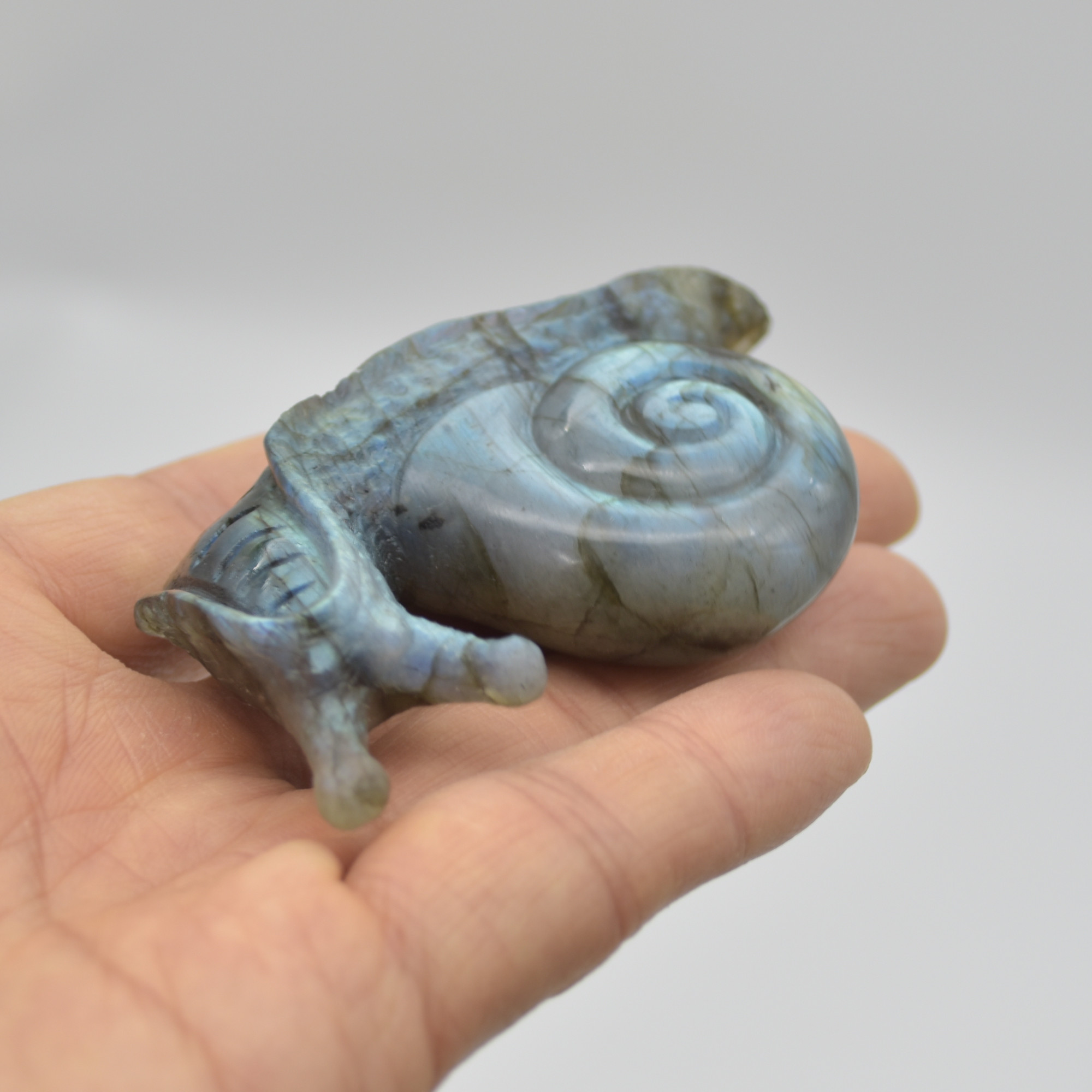Labradorite Crystal Snail - 4cm x 7cm x 2cm - 71 grams #03 - Image 3