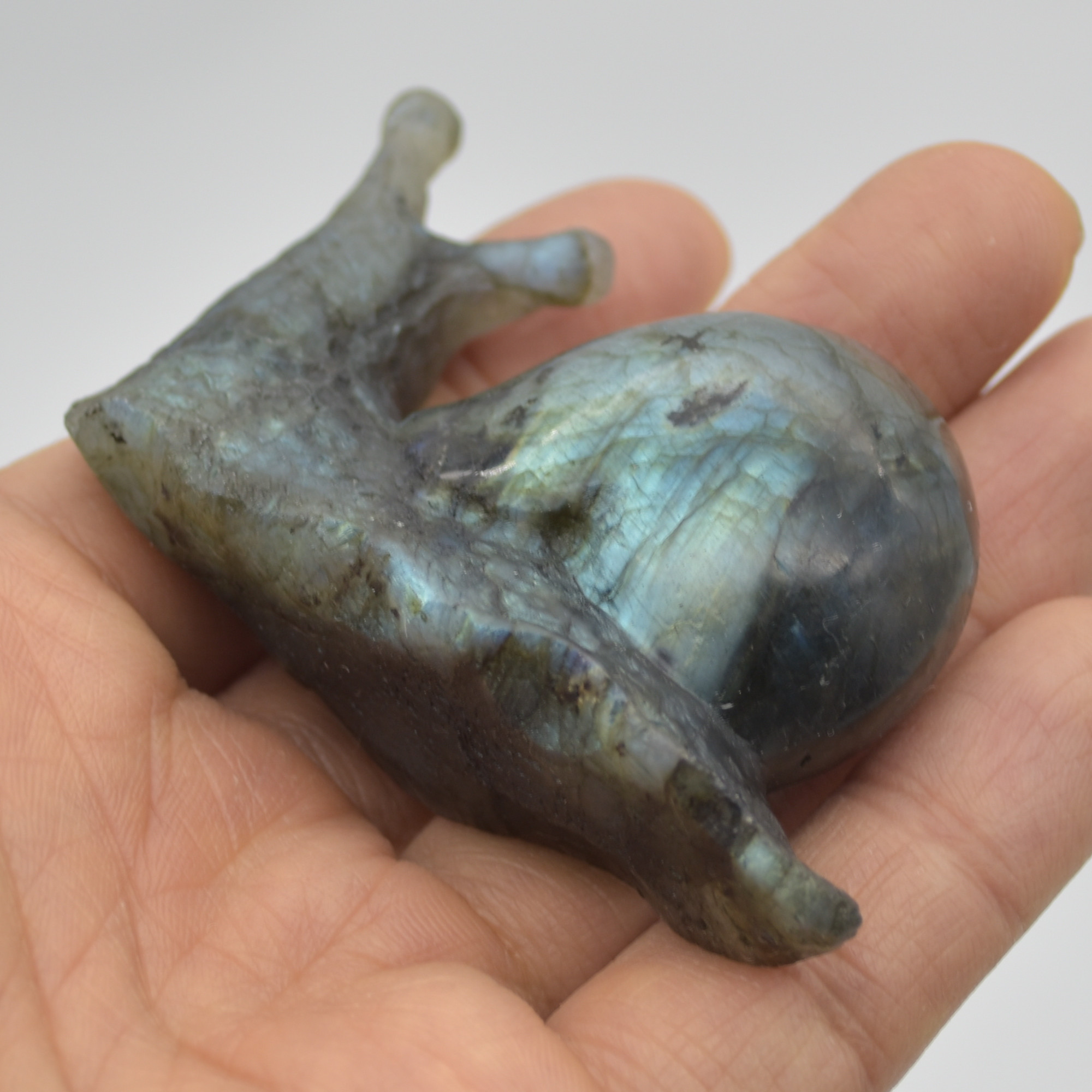 Labradorite Crystal Snail - 4cm x 7cm x 2cm - 71 grams #03 - Image 6