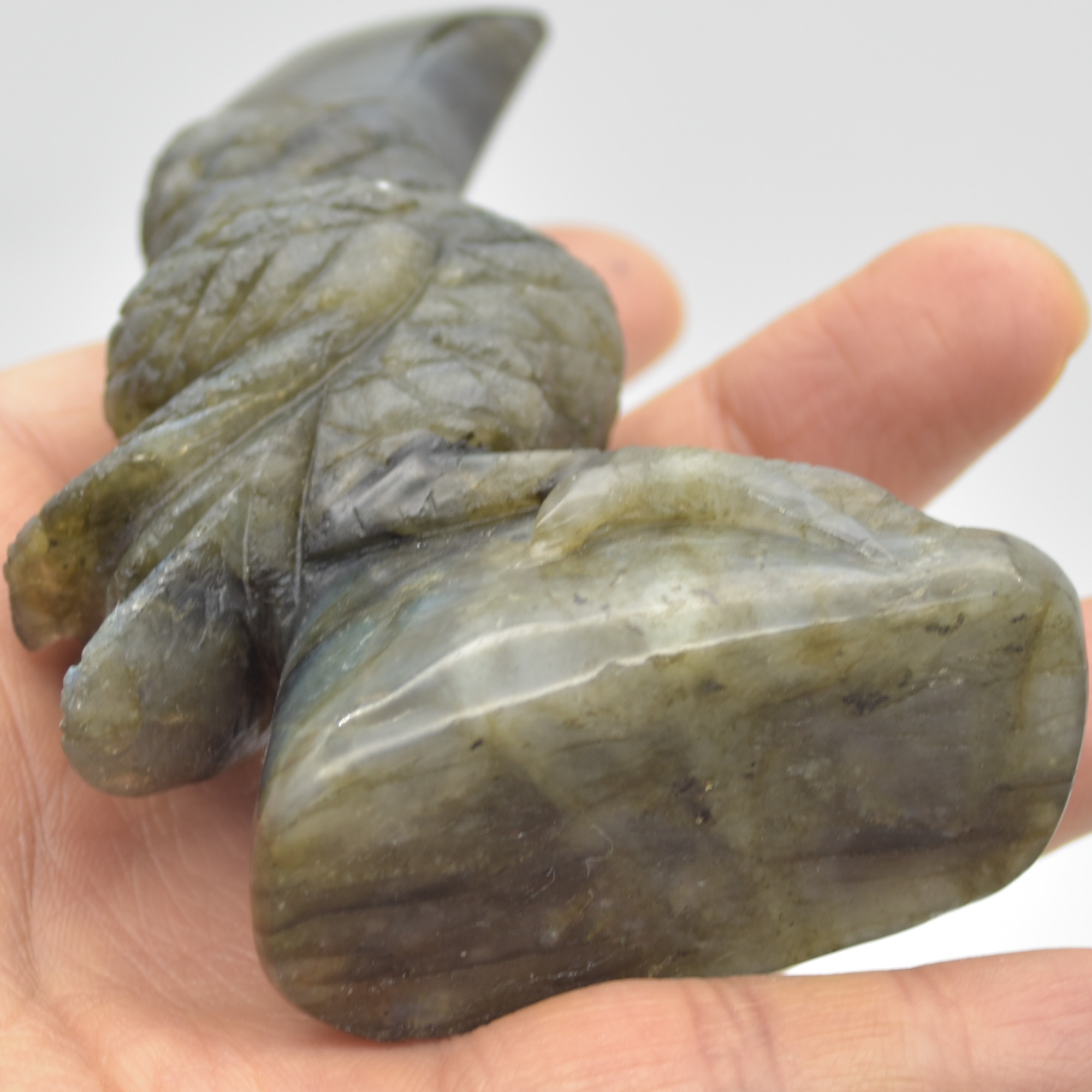 Labradorite Crystal Toucan on Rock - 9cm x 6.5cm x 3cm - 159 grams #02 - Image 4