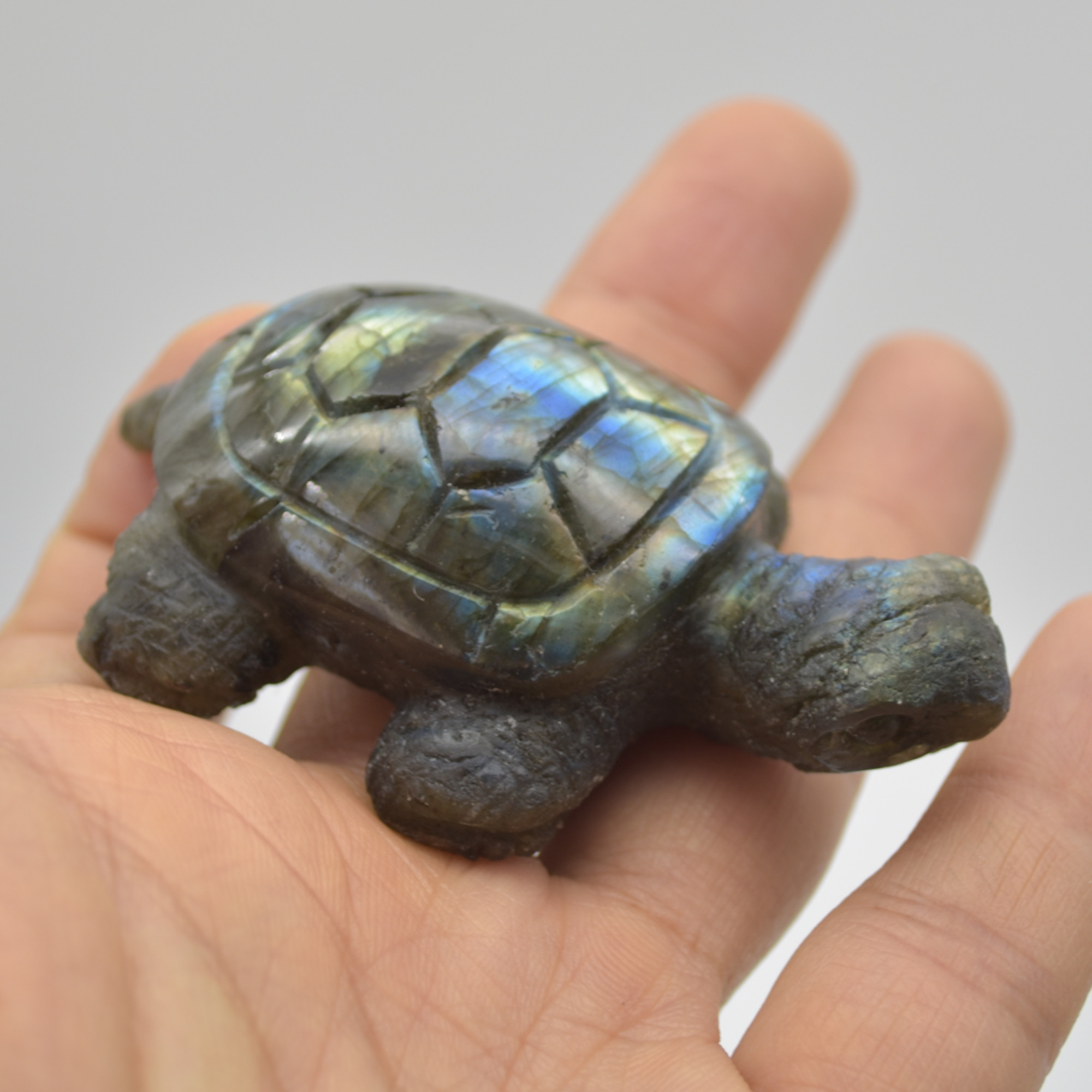 Labradorite Crystal Turtle - 2.5cm x 7cm x 4.5cm - 71 grams #04