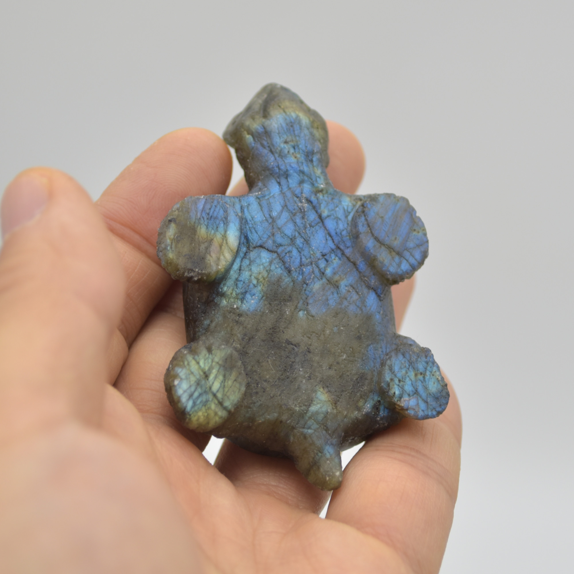 Labradorite Crystal Turtle - 2.5cm x 7cm x 4.5cm - 71 grams #04 - Image 2