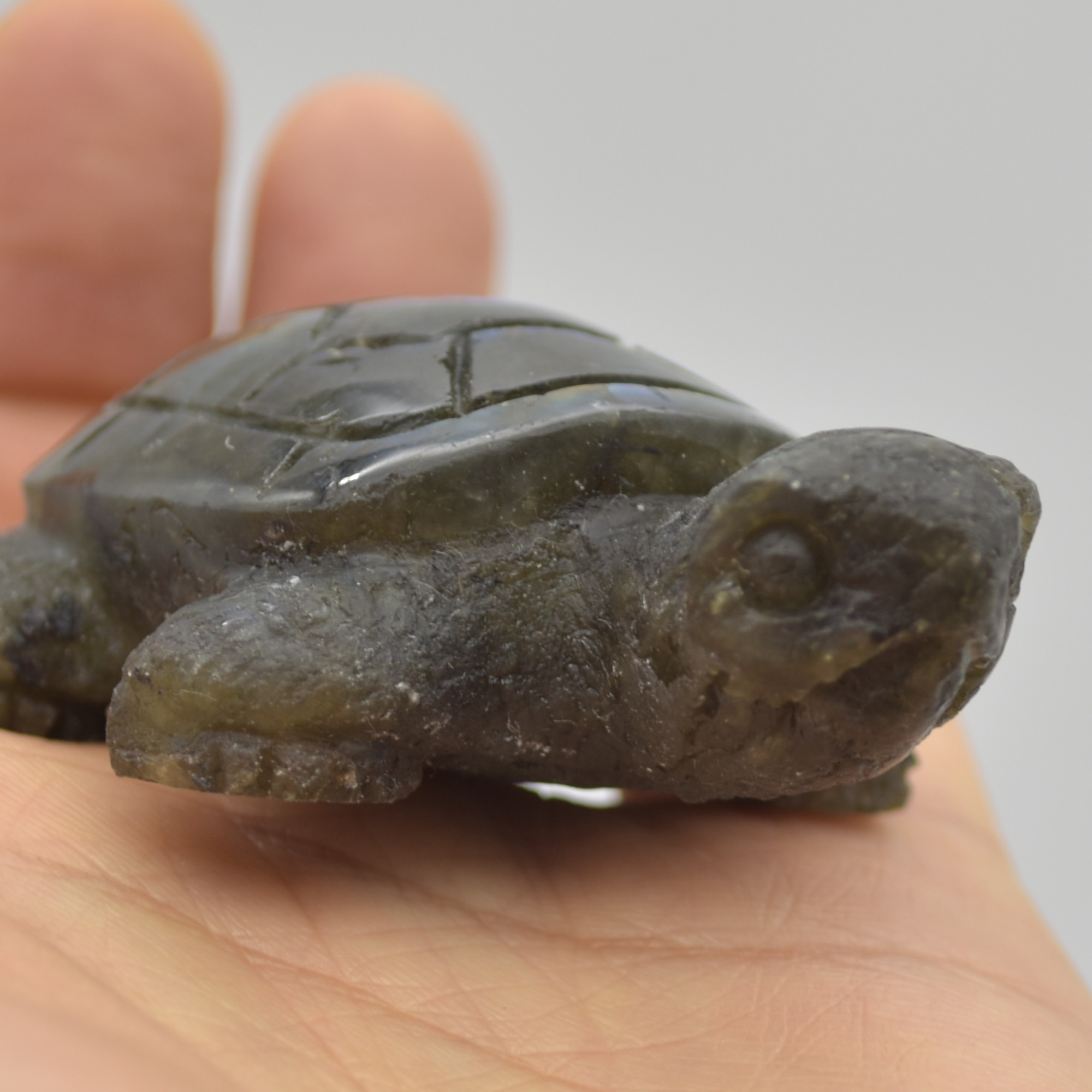 Labradorite Crystal Turtle - 2.5cm x 7cm x 4.5cm - 71 grams #04 - Image 3