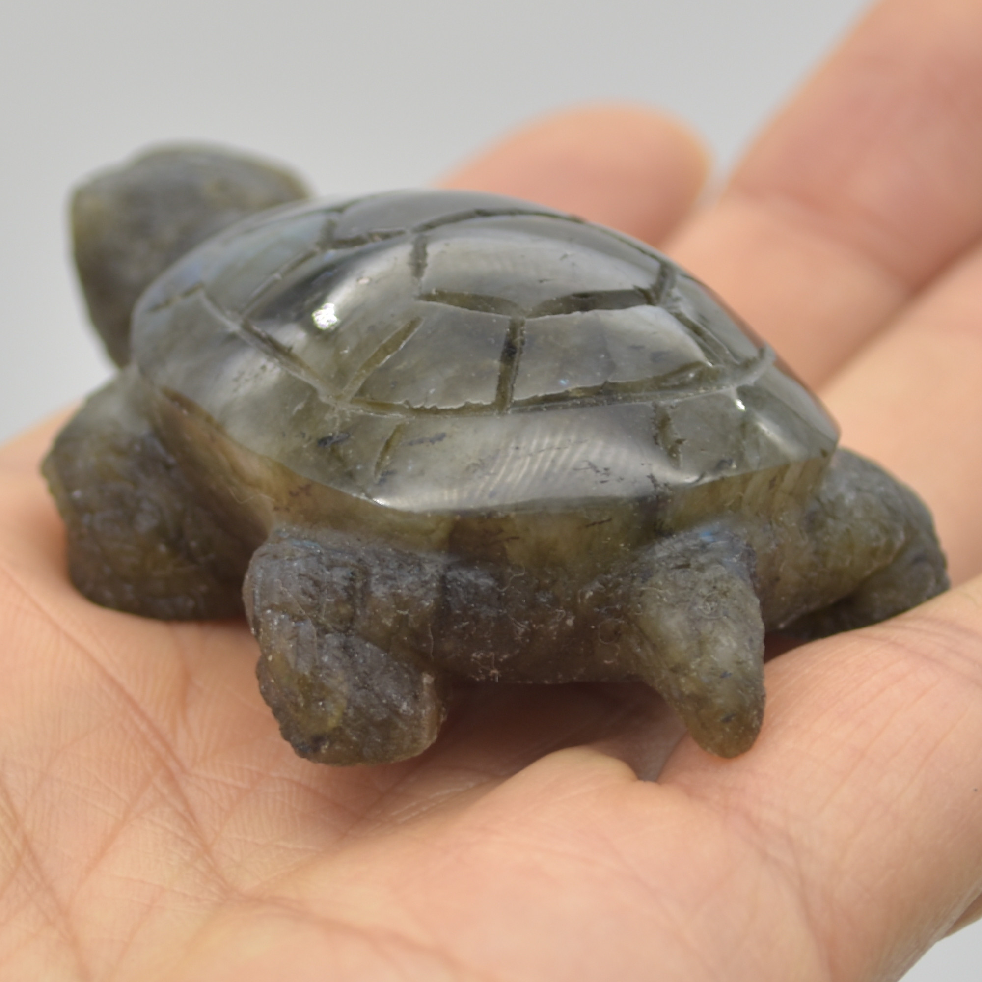 Labradorite Crystal Turtle - 2.5cm x 7cm x 4.5cm - 71 grams #04 - Image 4