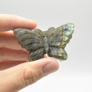 Labradorite Butterfly - 38 grams - 5cm x 3cm  x 1.5cm