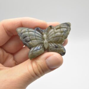 Labradorite Butterfly - 25 grams - 5cm x 3cm  x 1cm