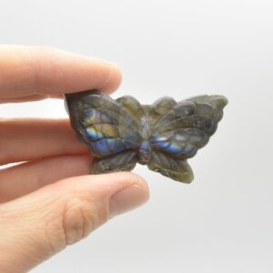 Labradorite Butterfly - 23 grams - 5cm x 3cm  x 1cm