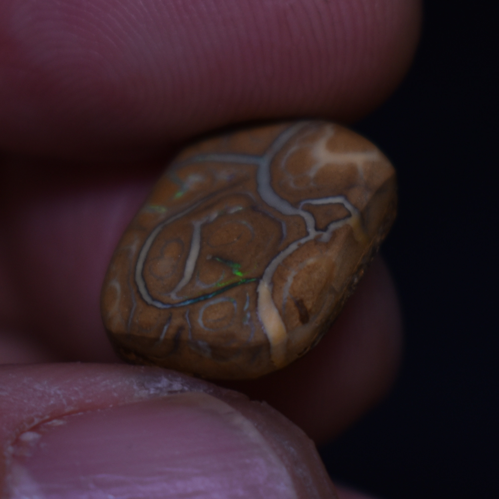 Australian Rough Boulder Opal, Raw Matrix Specimen - 7ct weight #06 - Image 4