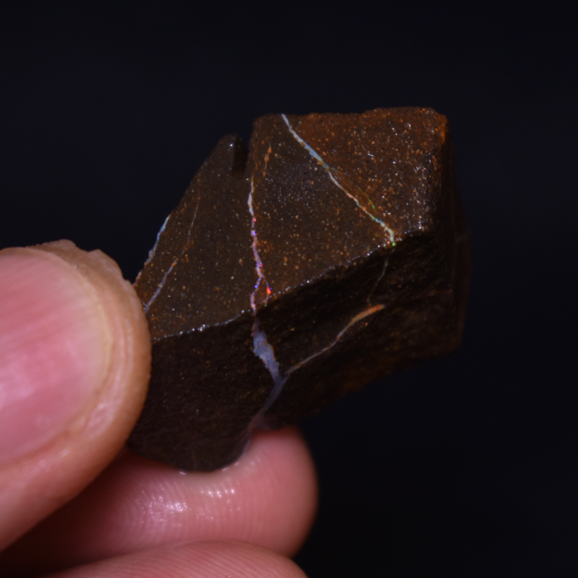 Australian Rough Boulder Opal, Raw Matrix Specimen - 64ct weight #36 - Image 2