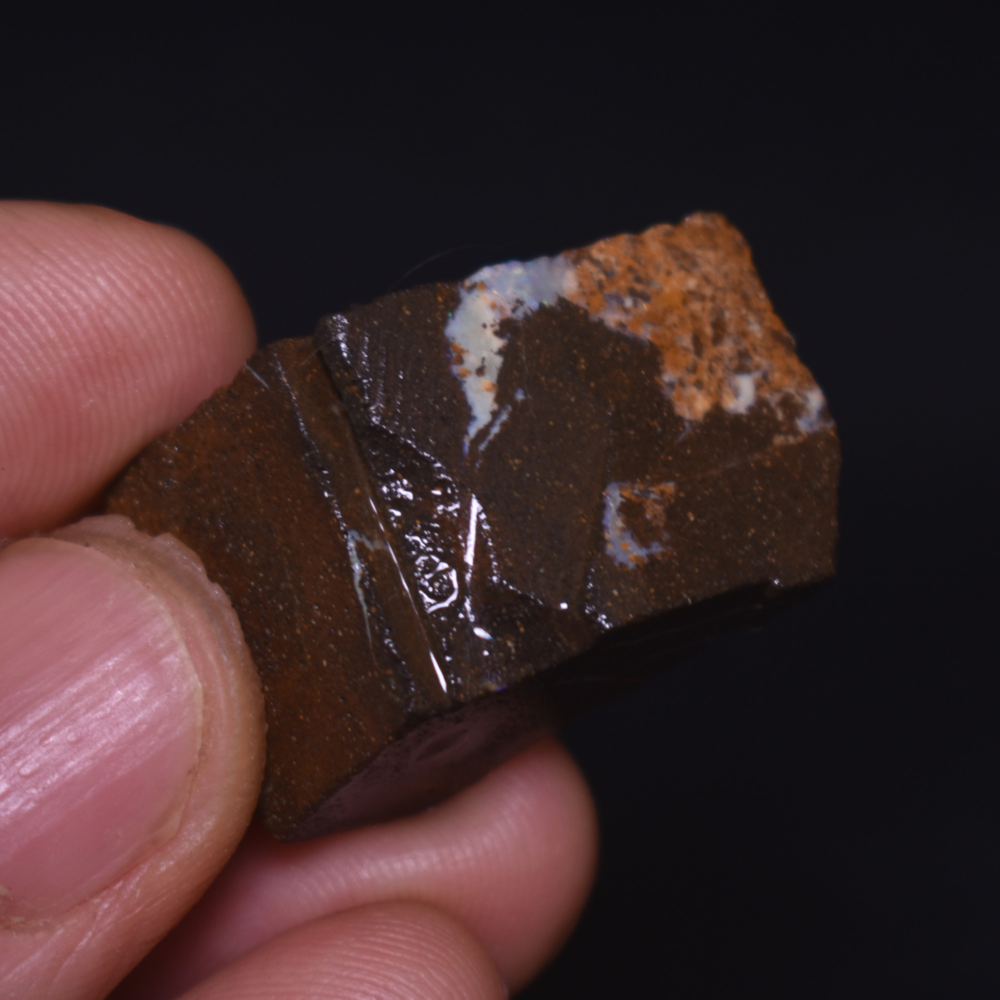 Australian Rough Boulder Opal, Raw Matrix Specimen - 64ct weight #36 - Image 3