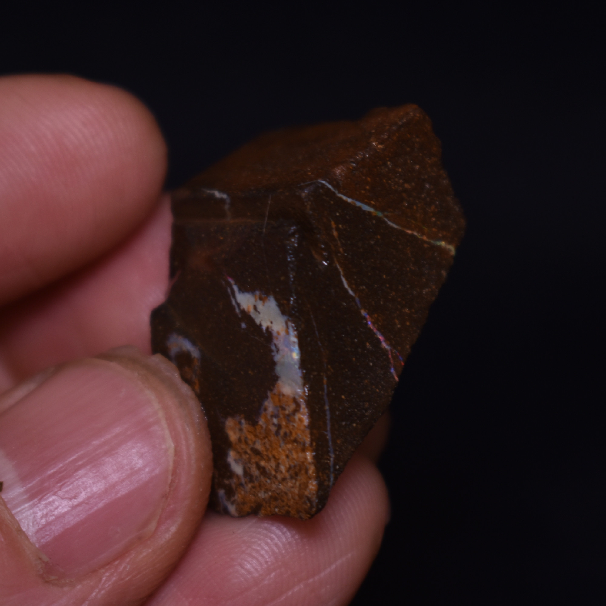 Australian Rough Boulder Opal, Raw Matrix Specimen - 64ct weight #36 - Image 5