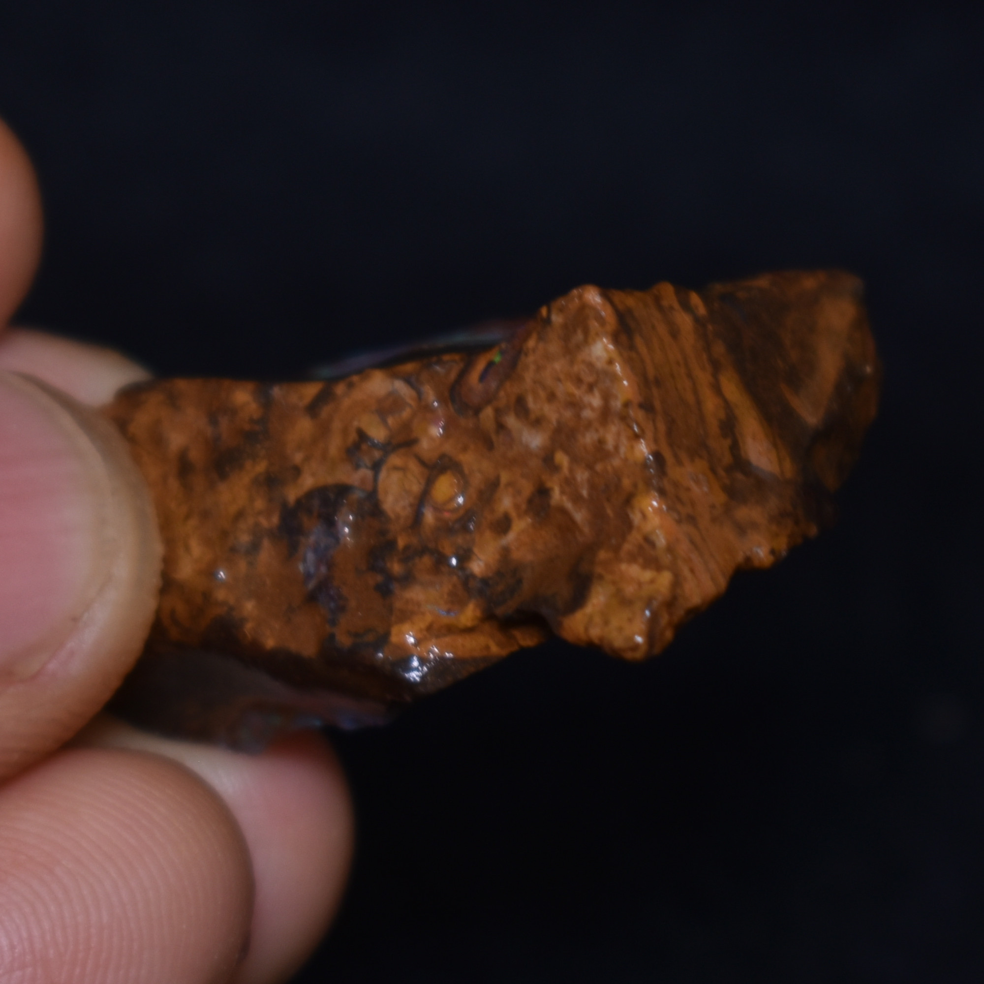 Australian Rough Boulder Opal, Raw Matrix Specimen – 53ct weight #76 - Image 5