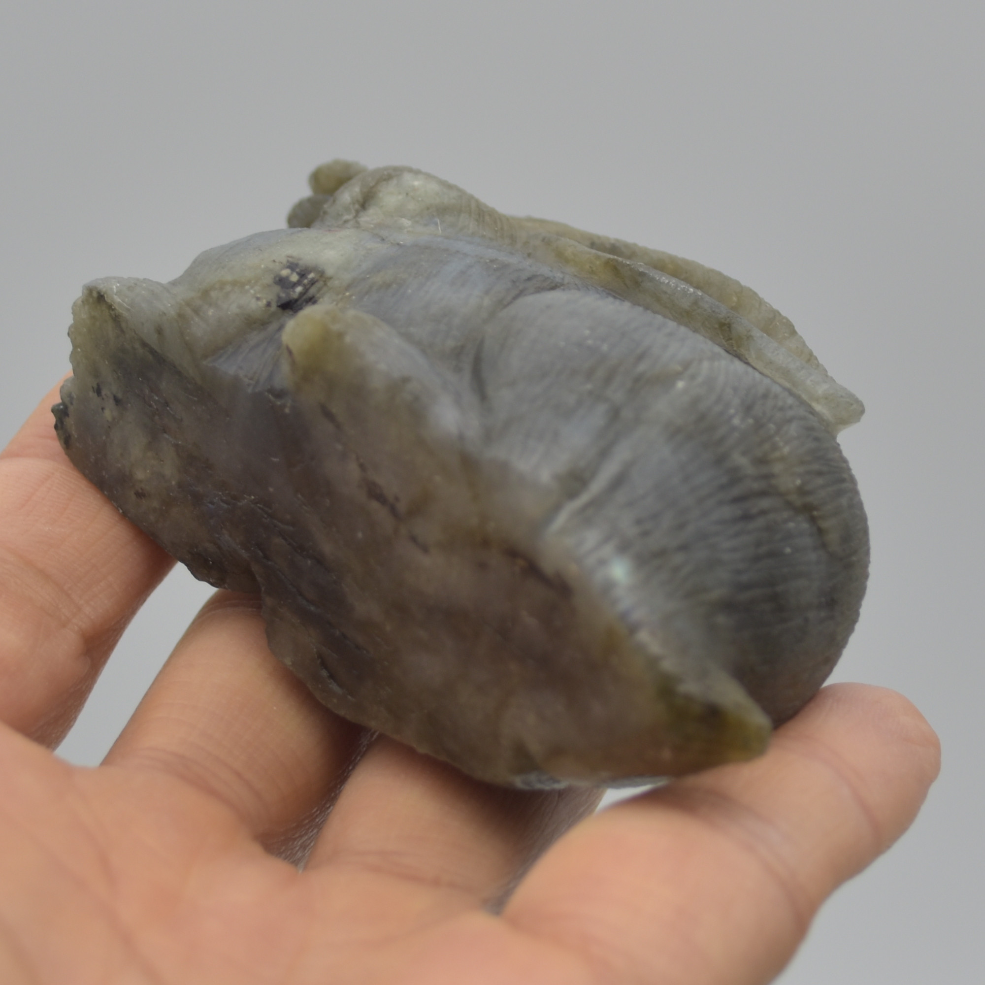 Labradorite Carved Rabbit - 8.5cm - 197 grams #04 - Image 3
