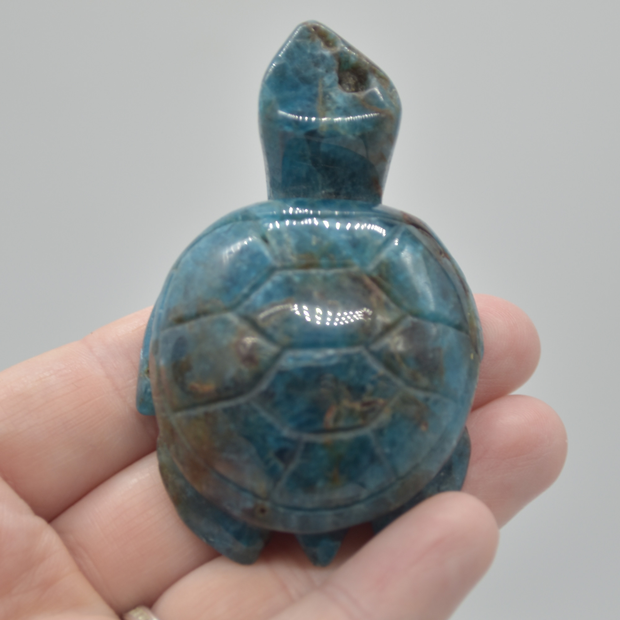 Apatite Gemstone Carved Turtle - 90 grams - 6.5cm - #02 - Image 4