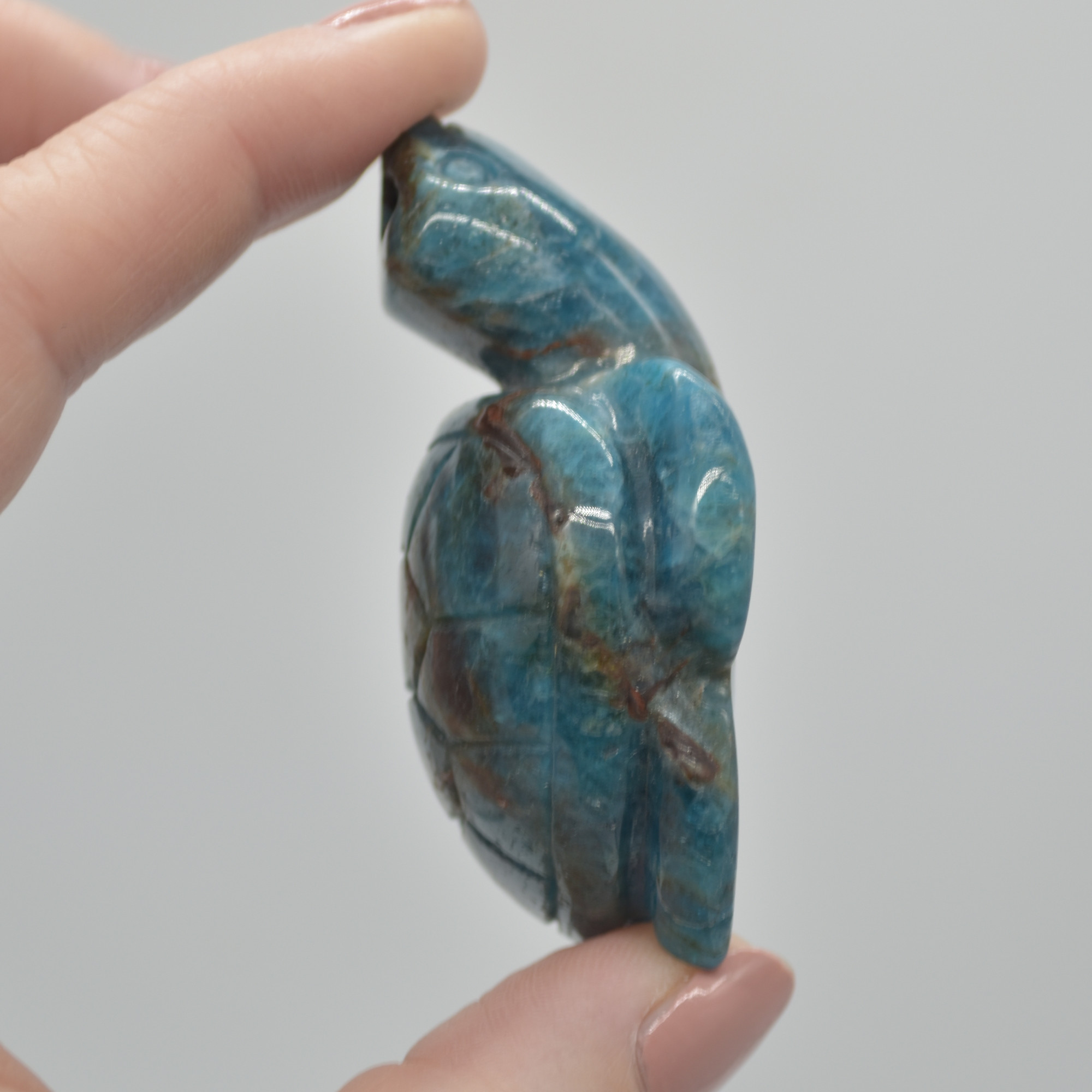 Apatite Gemstone Carved Turtle - 90 grams - 6.5cm - #02 - Image 5
